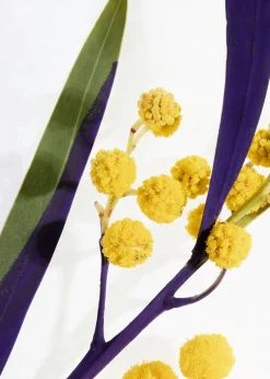 Fashion Body Lotion Kvinder Bad & Krop