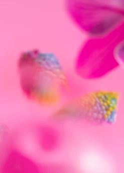 Online Body Mist Kvinder Dufte