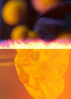 Sale Moon Fiction Eau De Toilette Kvinder Dufte