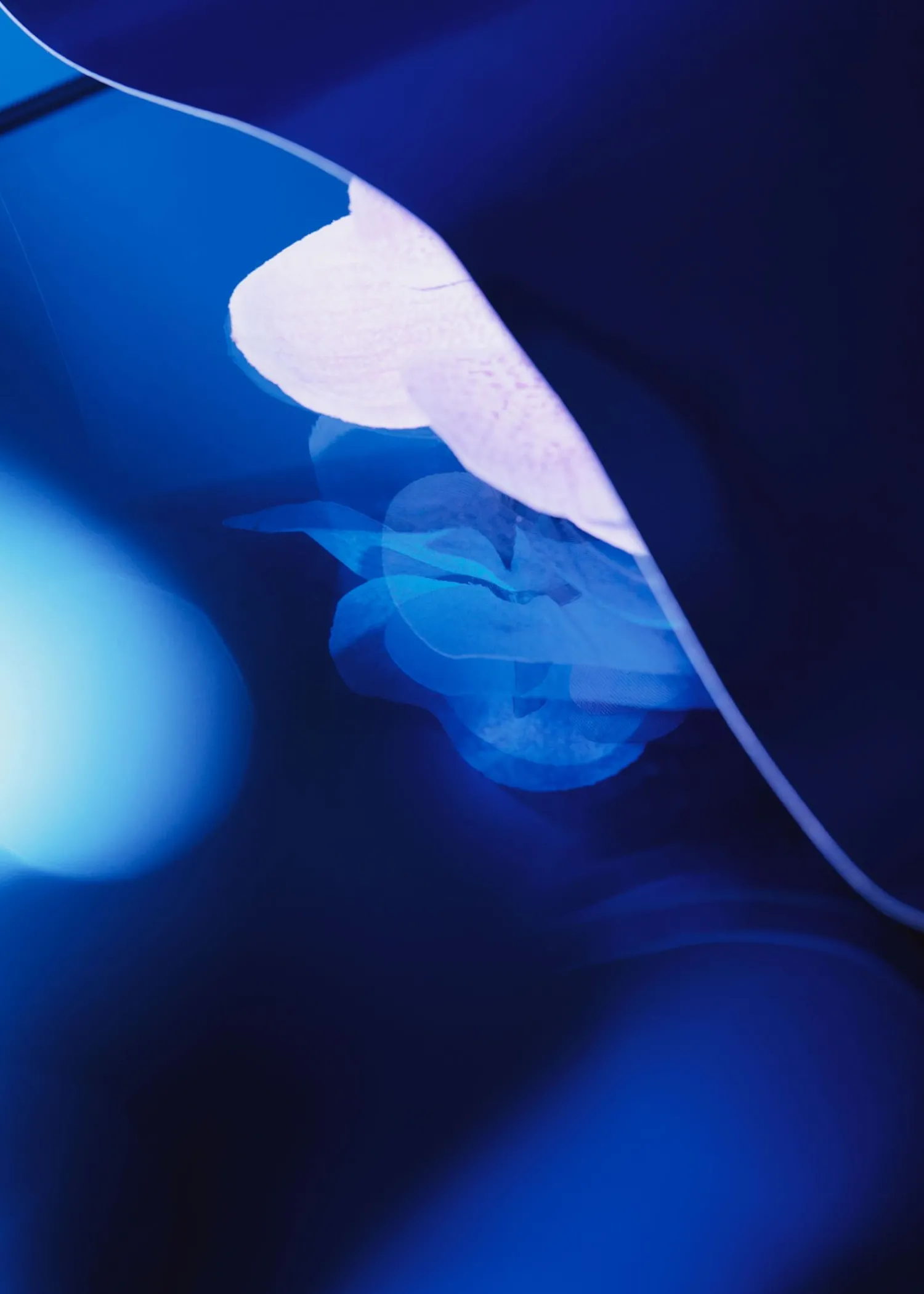 Discount Handcreme Kvinder Bad & Krop