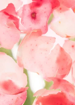 Cheap Handlotion Kvinder Bad & Krop