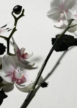 Store Punk Bouquet Body Mist Kvinder Dufte